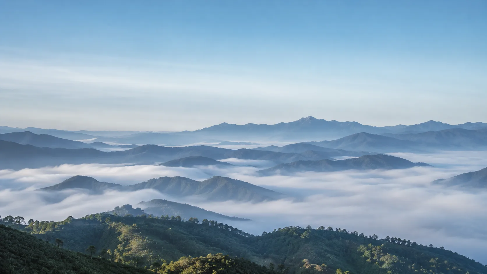 Editorial landscape photograph of a valley overlook above a sea of soft fog