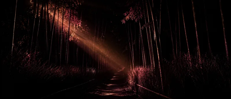 Bamboo forest lantern painting